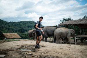 BIB: 
                            <button type="button" onclick="openModal(22424278)" class="btn btn-primary btn-sm float-right btn-popup" data-toggle="modal" data-target=".modal-high-quality">
                        <i class="fas fa-shopping-cart"></i> Add to Cart
                    </button>
                                            <button type="button" onclick="isThisMe(22424278, true)" class="btn btn-success btn-sm float-right btn-popup btn-isme hidden" data-toggle="tooltip" data-placement="bottom" title="นี่คือรูปของคุณใช่ไหม คลิกที่นี่เพื่อเอาเข้าอัลบั้ม">
                        <i class="fas fa-plus"></i> Add to album
                    </button>
                    <button type="button" onclick="isThisMe(22424278, false)" class="btn btn-warning btn-sm float-right btn-popup btn-isnotme hidden">
                        <i class="fas fa-ban"></i> Remove from album
                    </button>